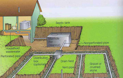 A Healthy Septic Tank